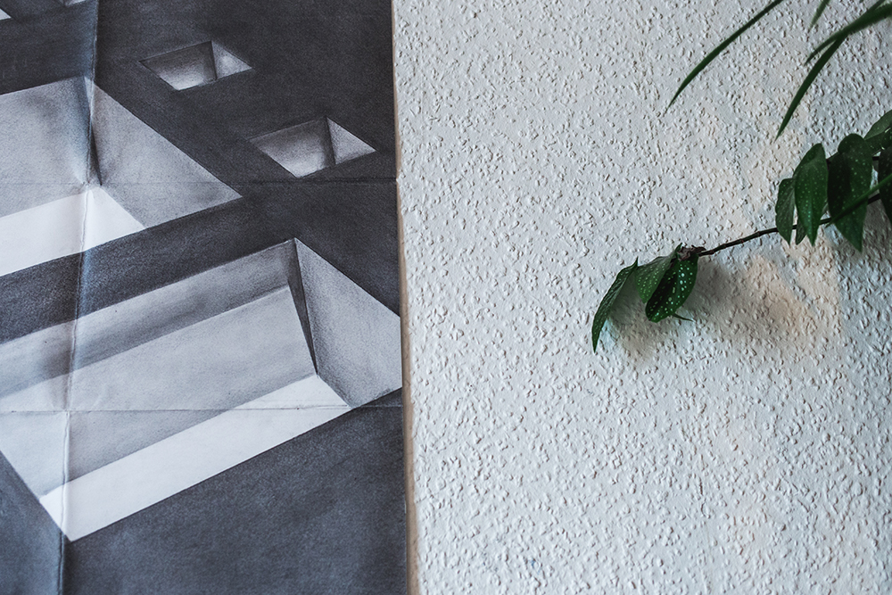 Part of a drawing and a plant