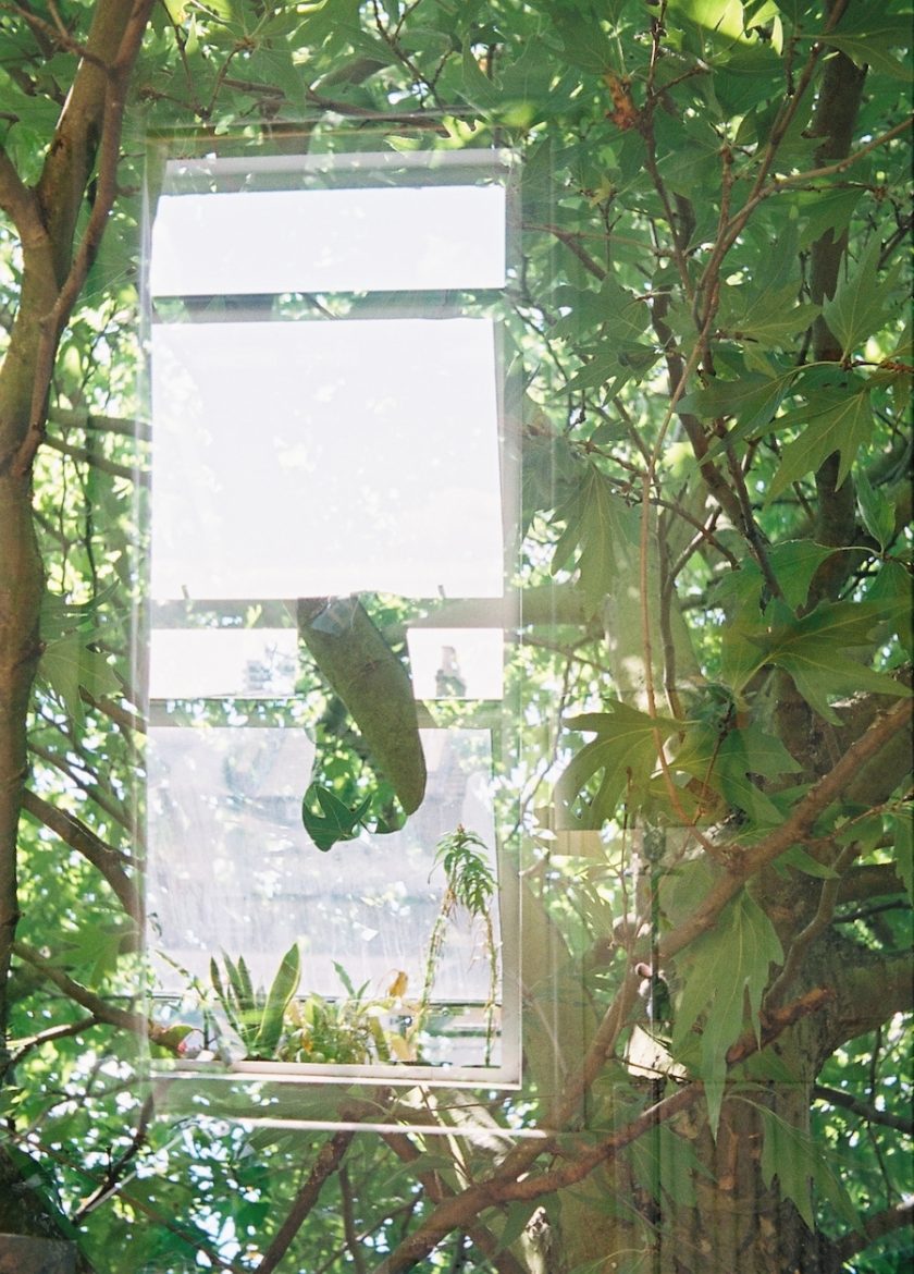 top art events 8-14 june